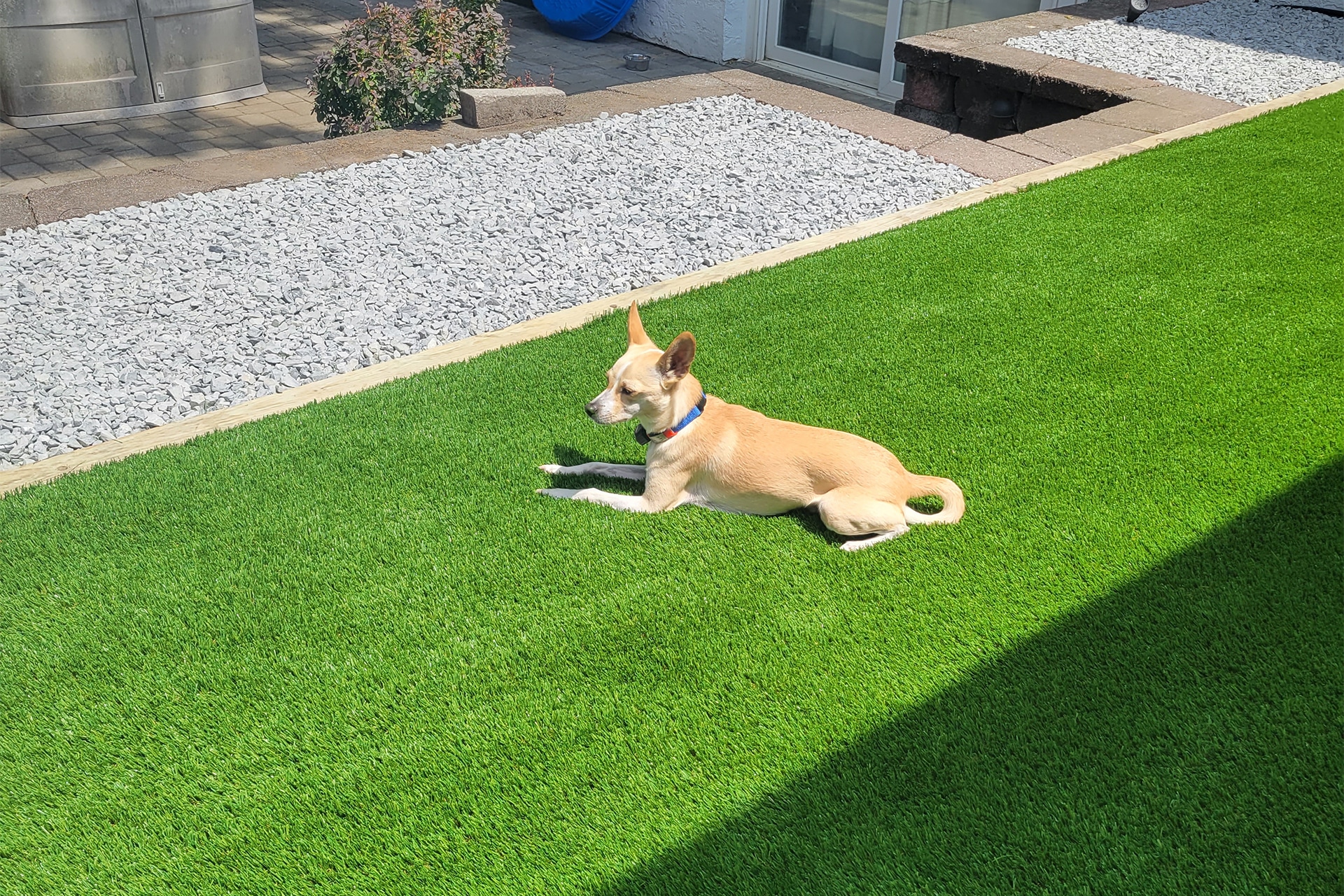 Pet Turf Installation in Dallas, TX